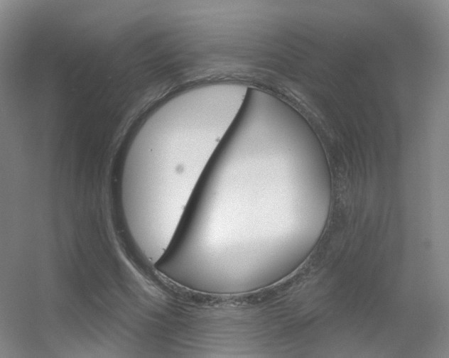 X0000055520586200508120824