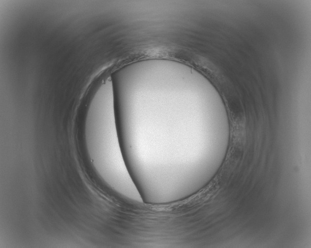 X0000055520587200508120824