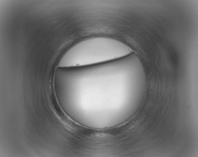 X0000055520590200508120824