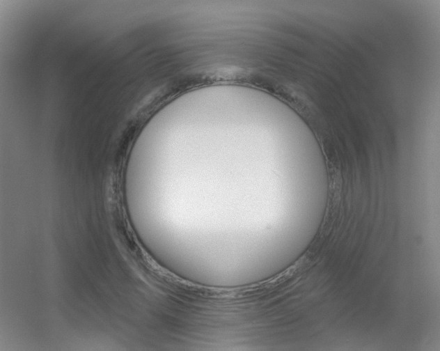 X0000055520591200508120824