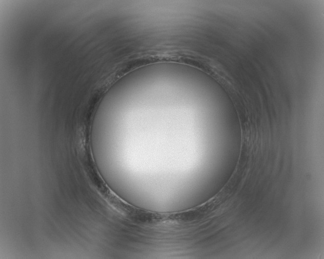 X0000055520593200508120824