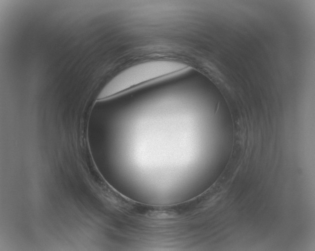 X0000055520597200508120824