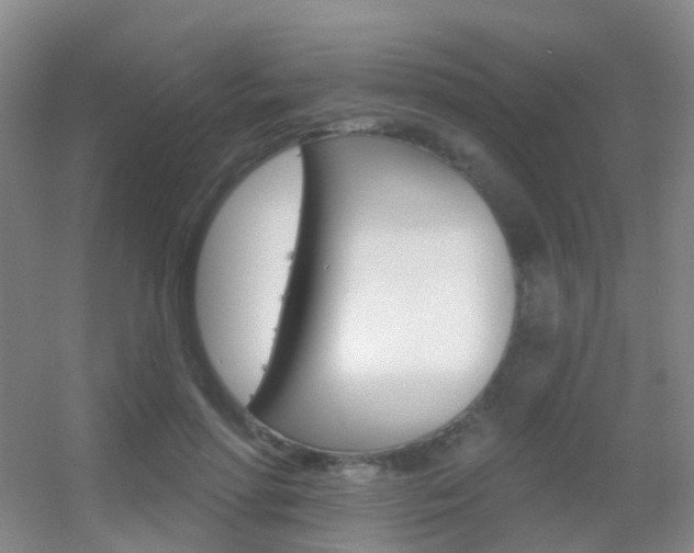 X0000055520598200508120824