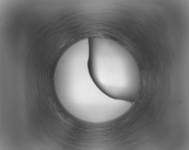 X0000055520603200508120824