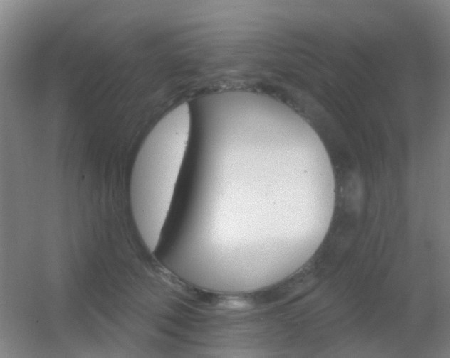X0000055520610200508120823