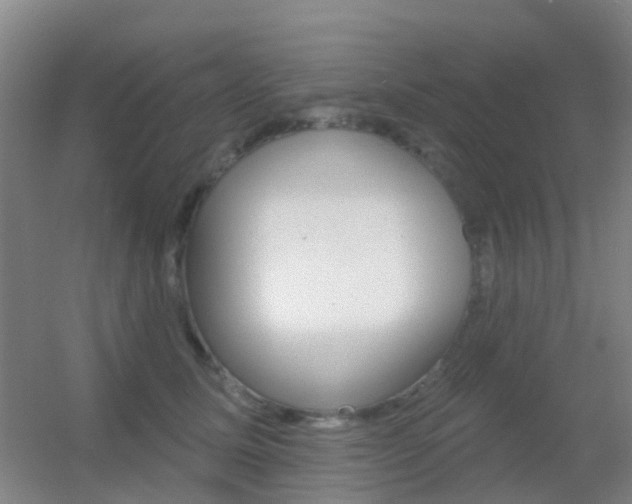 X0000055520611200508120823