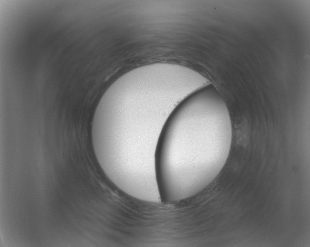 X0000055520618200508120823