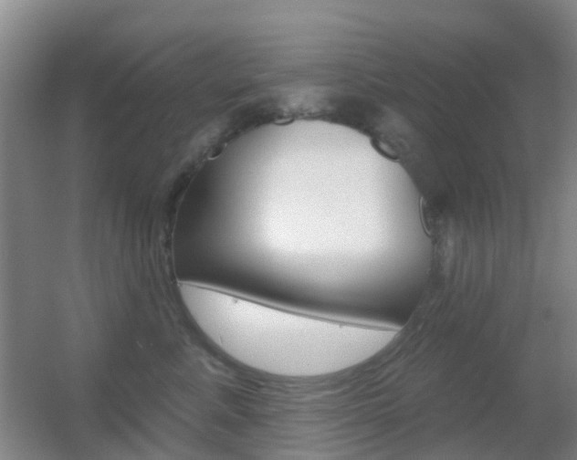 X0000055520619200508120823