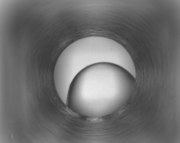 X0000055520621200508120823