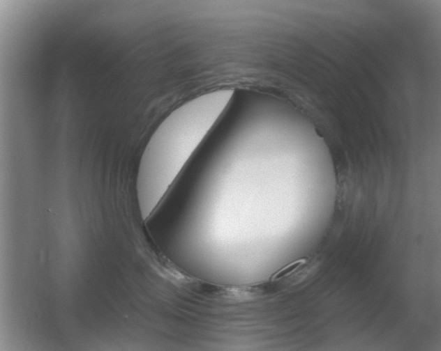 X0000055520623200508120823