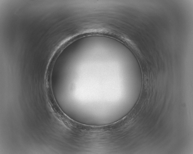 X0000055520628200508120822