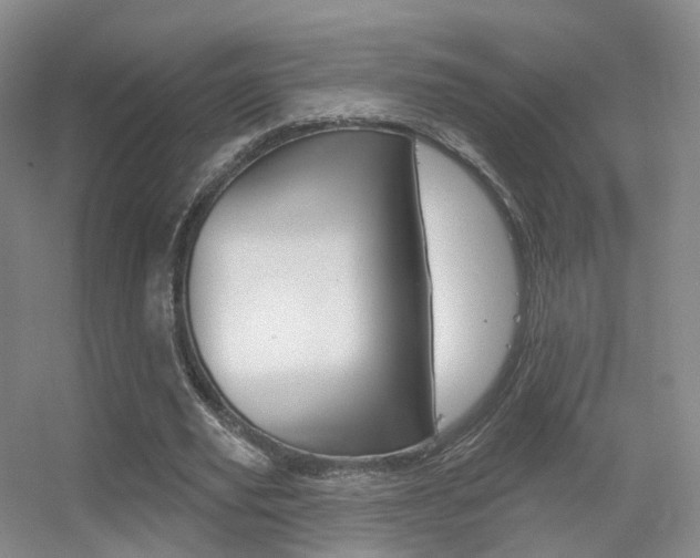 X0000055520629200508120822