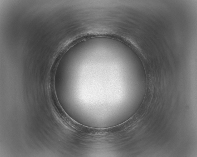 X0000055520631200508120822