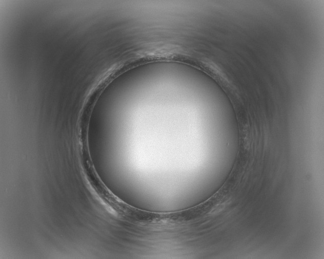 X0000055520634200508120823