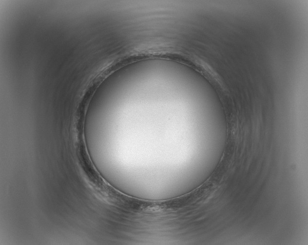 X0000055520635200508120823