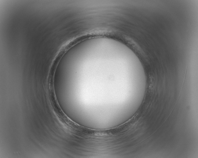 X0000055520636200508120823