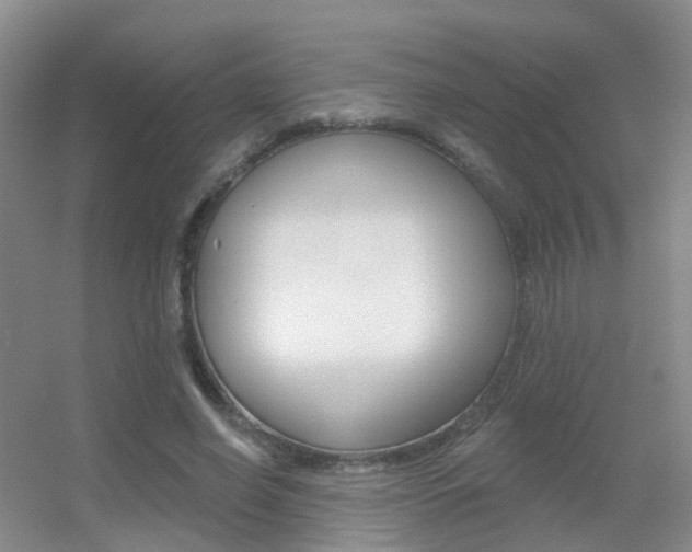 X0000055520638200508120823