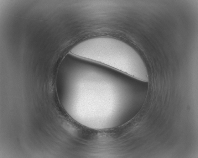 X0000055520641200508120823