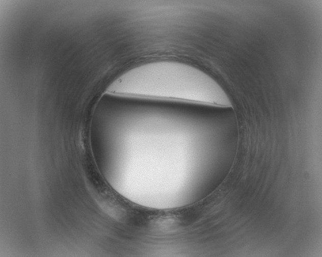 X0000055520643200508120823