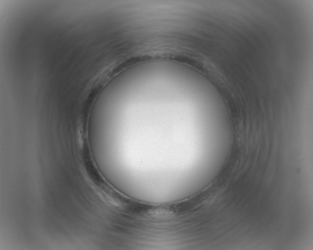 X0000055520644200508120823