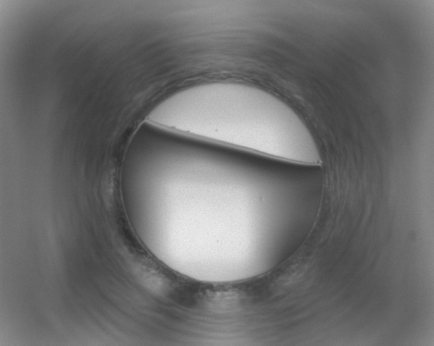 X0000055520645200508120823