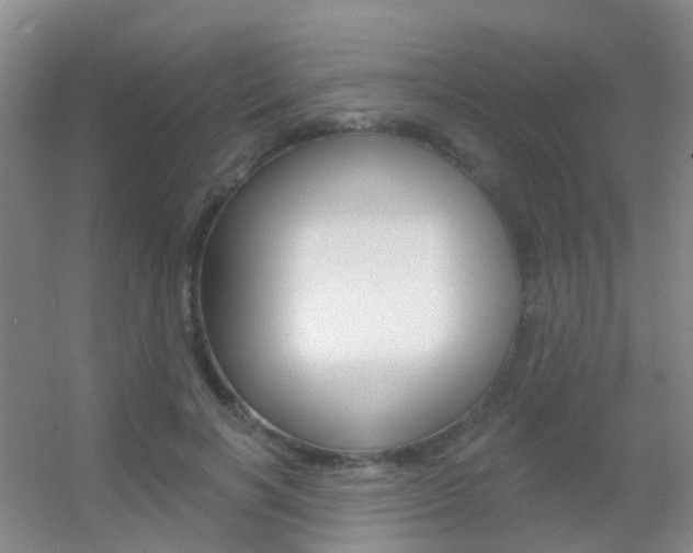 X0000055520646200508120823