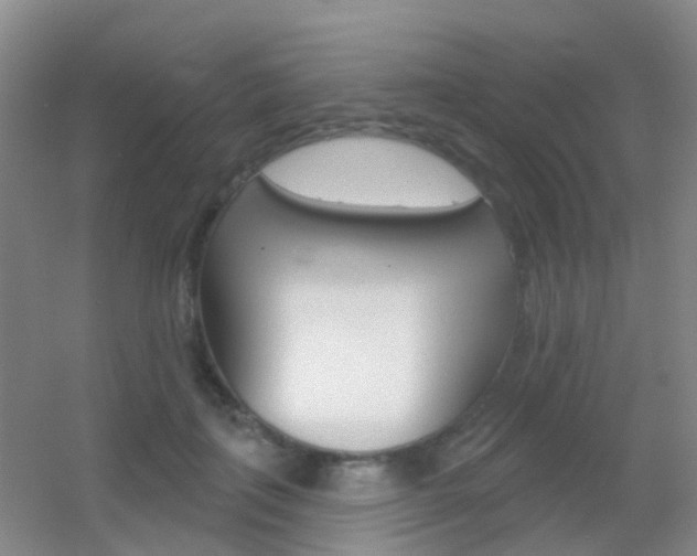 X0000055520651200508120823