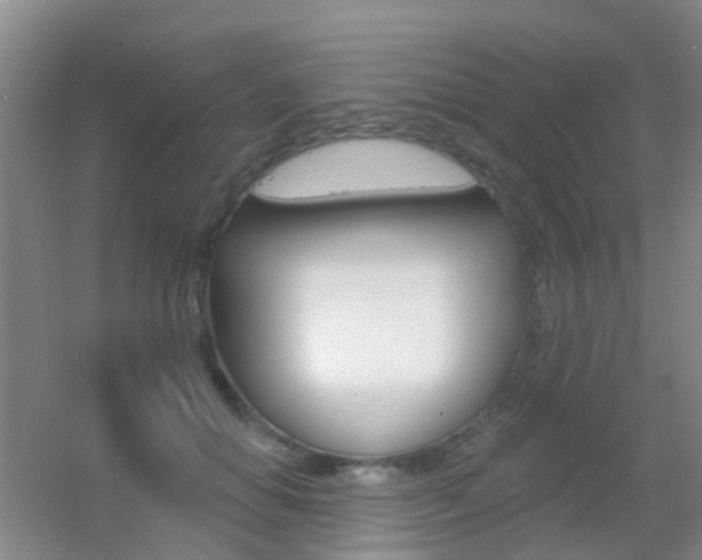 X0000055520654200508120823