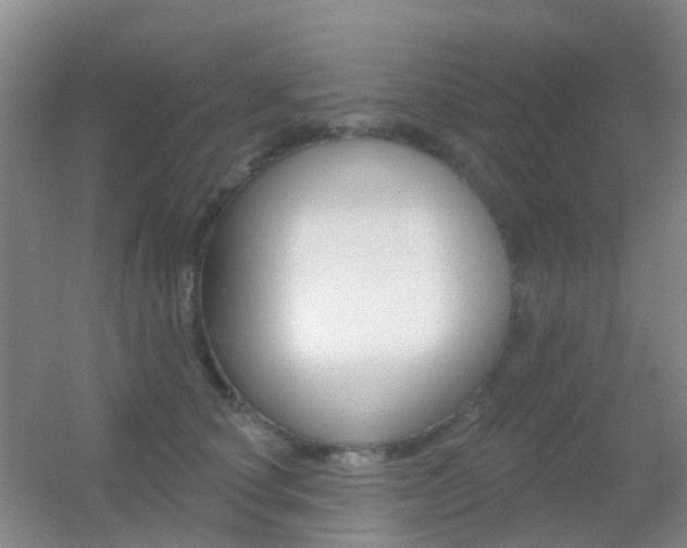 X0000055520660200508120823