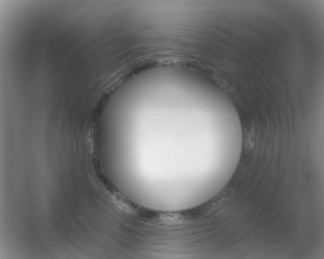 X0000055520666200508120823