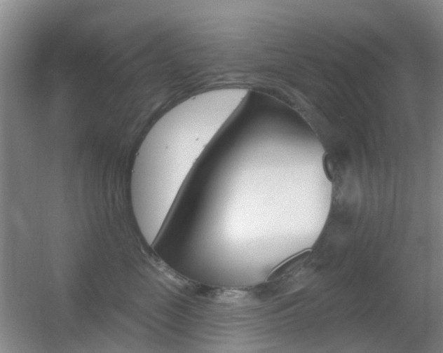 X0000055520669200508120823