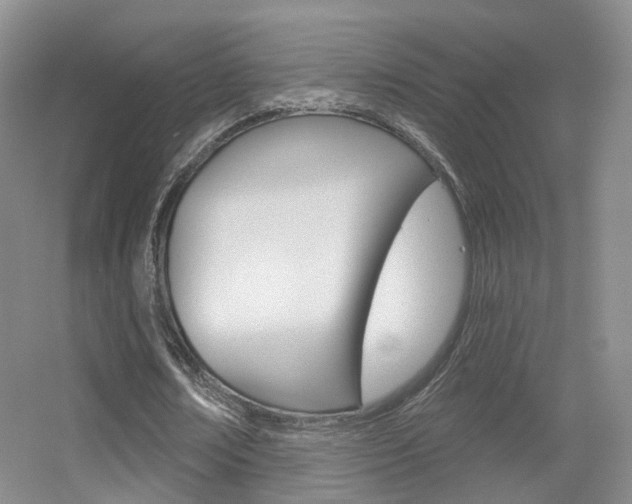 X0000055520674200508120822