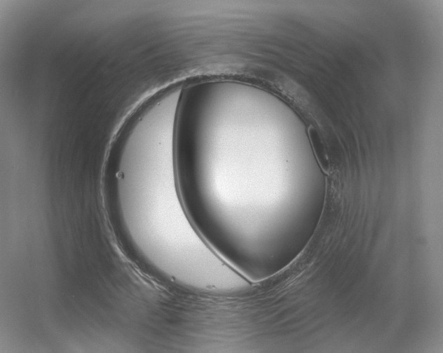 X0000055520676200508120822