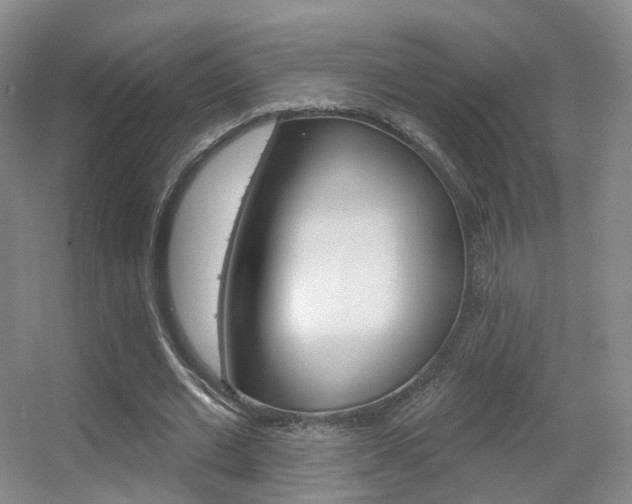 X0000055520677200508120822