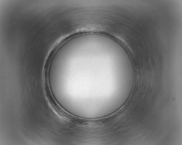X0000055520678200508120822