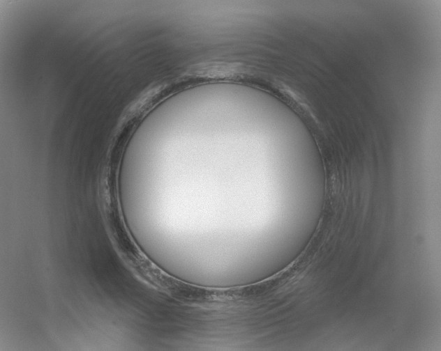 X0000055520682200508120822