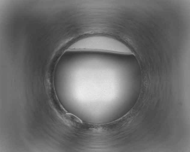 X0000055520688200508120822