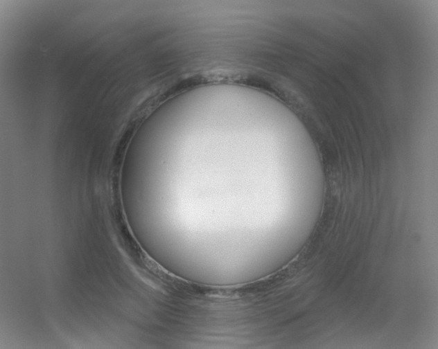 X0000055520690200508120822