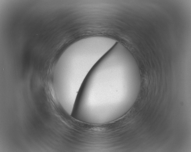 X0000055520691200508120822