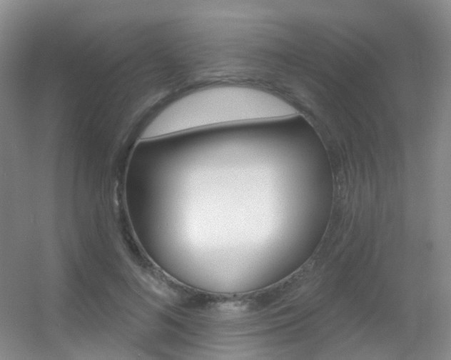 X0000055520692200508120822