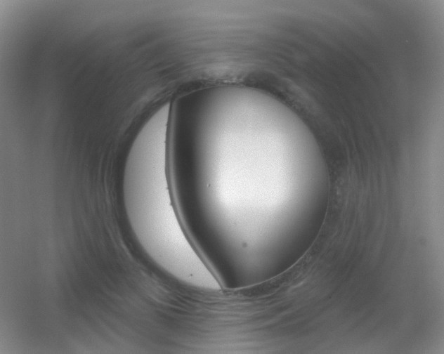 X0000055520693200508120822