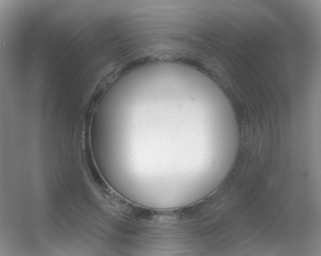 X0000055520694200508120822