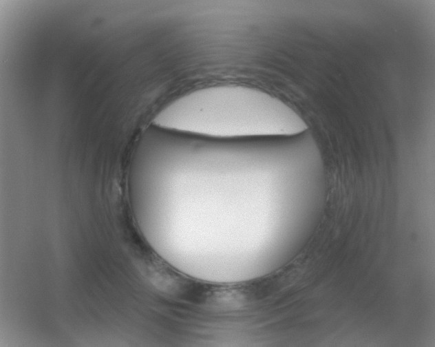 X0000055520702200508120822