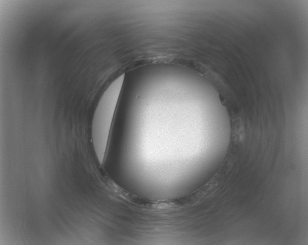 X0000055520716200508120822