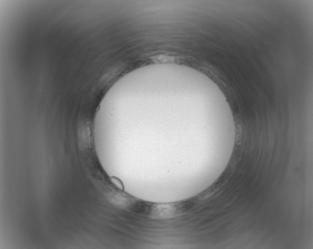 X0000055520717200508120822