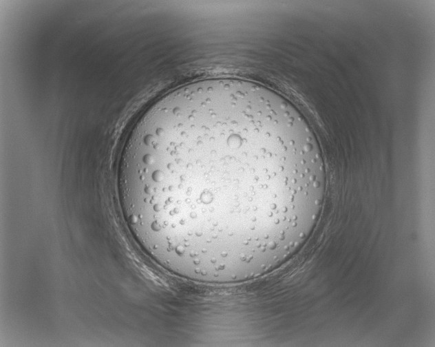 X0000055520721200508120821