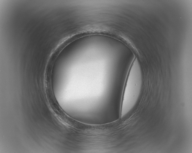 X0000055520722200508120821