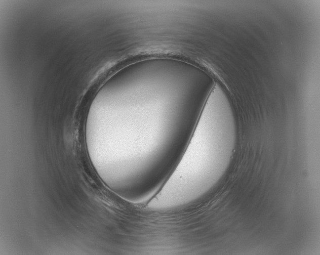 X0000055520723200508120821