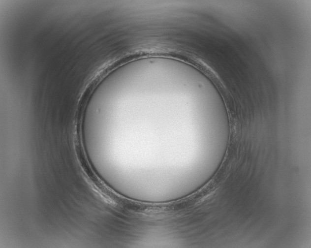 X0000055520725200508120821