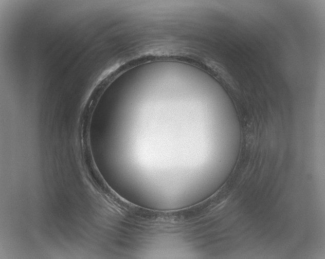 X0000055520727200508120821